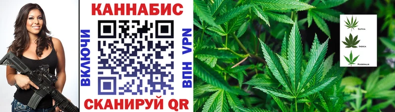 мега ссылка  наркота  Киселёвск  Бошки марихуана сатива 